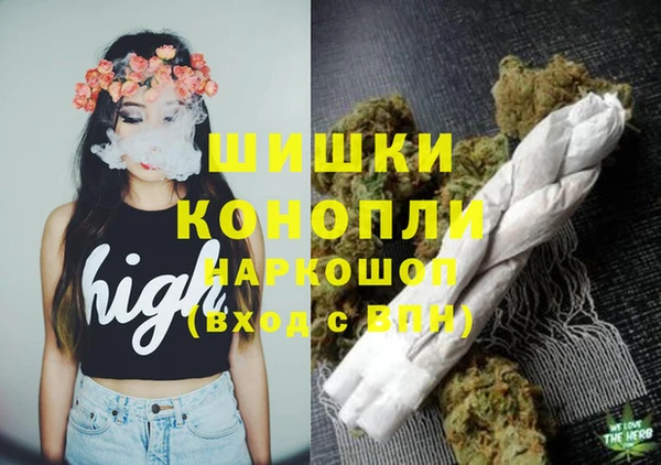 индика Волоколамск