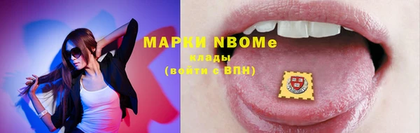 индика Волоколамск