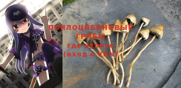 мескалин Верхний Тагил