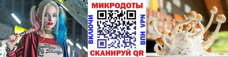 Купить закладки  Вышний Волочёк  Псилоцибиновые грибы мицелий 